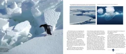Australian Geographic Antarctica