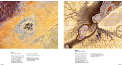 Australian Geographic Australasian Nature Photographer of the Year Book 2021 (18th edition)