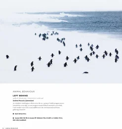 Australian Geographic Australasian Nature Photographer of the Year Book 2017 (14th edition)