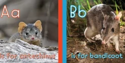 Kids Australian Geographic Australian Animal ABC