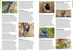 Australian Geographic : Australia's Birdwatching Megaspots