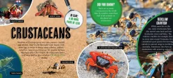 Kids Australian Geographic Discover: Minibeasts