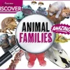 Kids Australian Geographic Discover: Animal Families