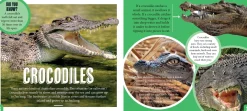 Kids Australian Geographic Discover: Aussie Reptiles