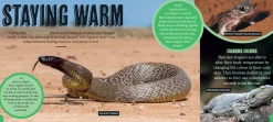 Kids Australian Geographic Discover: Aussie Reptiles