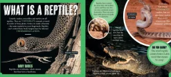 Kids Australian Geographic Discover: Aussie Reptiles