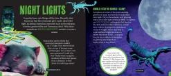 Kids Australian Geographic Discover: Glowing Animals
