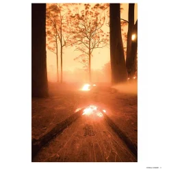 Australian Geographic Nature Photographer of the Year Book 2023