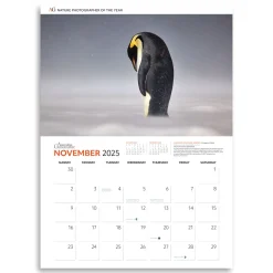 Australian Geographic Nature Photographer of the Year Calendar 2025