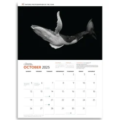 Australian Geographic Nature Photographer of the Year Calendar 2025