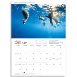 Australian Geographic Nature Photographer of the Year Calendar 2025