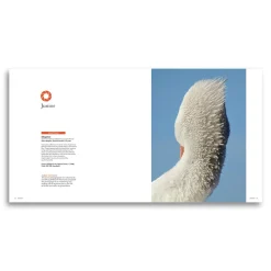 Australian Geographic Nature Photographer of the Year Book 2024