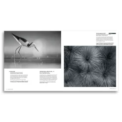 Australian Geographic Nature Photographer of the Year Book 2024