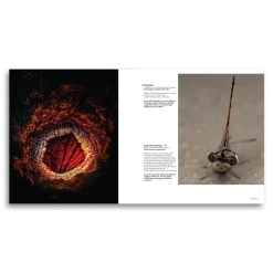 Australian Geographic Nature Photographer of the Year Book 2024