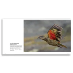 Australian Geographic Nature Photographer of the Year Book 2024