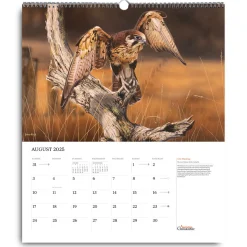 Australian Geographic Society Art Calendar 2025