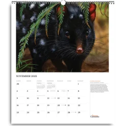 Australian Geographic Society Art Calendar 2025