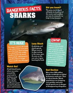 Kids Australian Geographic Australia's Most Dangerous Quiz & Activity Book