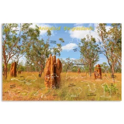 Kids Australian Geographic Australia's Natural Habitats Animal Sticker Book