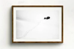 Australian Geographic Big Step, Little Step' by Charles Davis