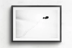 Australian Geographic Big Step, Little Step' by Charles Davis