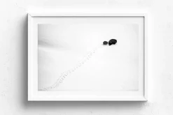 Australian Geographic Big Step, Little Step' by Charles Davis