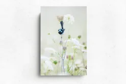 Australian Geographic Blue Flower' by Charles Davis