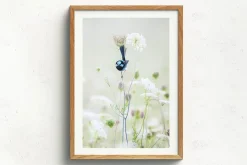 Australian Geographic Blue Flower' by Charles Davis