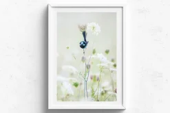 Australian Geographic Blue Flower' by Charles Davis