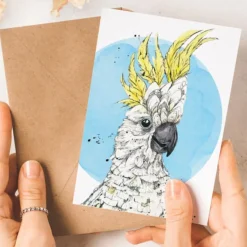 Australian Geographic Brad - Sulphur-crested Cockatoo Greeting Card by Shannon Dwyer