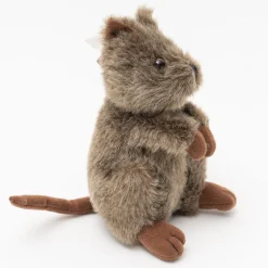 Australian Geographic Chuckles The Quokka