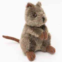 Australian Geographic Chuckles The Quokka