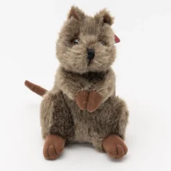 Australian Geographic Chuckles The Quokka