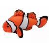Australian Geographic Coral Reef Clownfish
