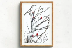 Australian Geographic Embers' by Charles Davis