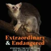 Australian Geographic Extraordinary & Endangered