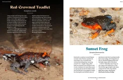 Australian Geographic Extraordinary & Endangered