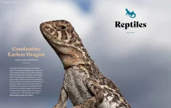 Australian Geographic Extraordinary & Endangered