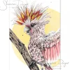 Australian Geographic Frankie - Pink Cockatoo Greeting Card by Shannon Dwyer