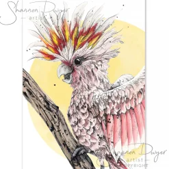 Australian Geographic Frankie - Pink Cockatoo Greeting Card by Shannon Dwyer