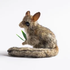 Australian Geographic Hansa Leadbeater Possum 11cm