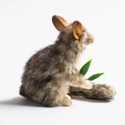 Australian Geographic Hansa Leadbeater Possum 11cm