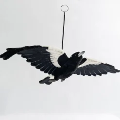 Australian Geographic Hansa Magpie Flying