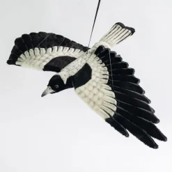 Australian Geographic Hansa Magpie Flying