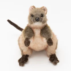 Australian Geographic Hansa Quokka