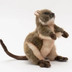 Australian Geographic Hansa Quokka