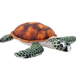 Australian Geographic Living Ocean Green Sea Turtle II