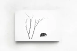 Australian Geographic Phil's World' by Charles Davis