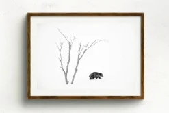 Australian Geographic Phil's World' by Charles Davis