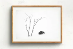 Australian Geographic Phil's World' by Charles Davis